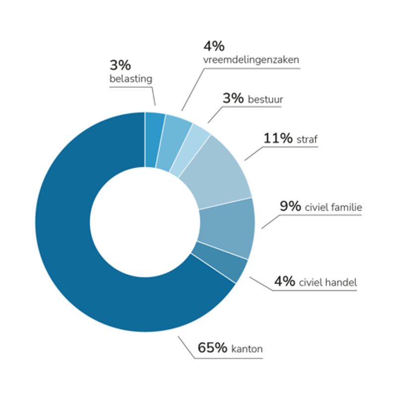 Van de binnengekomen zaken bij rechtbanken was 3% belasting, 4% vreemdelingenzaken, 3% bestuur, 11% straf, 9% civiel familie, 4% civiel handel, 65% kanton.