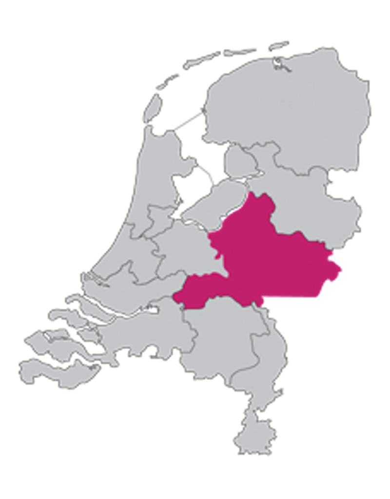 Werk- en rechtsgebied rechtbank Gelderland