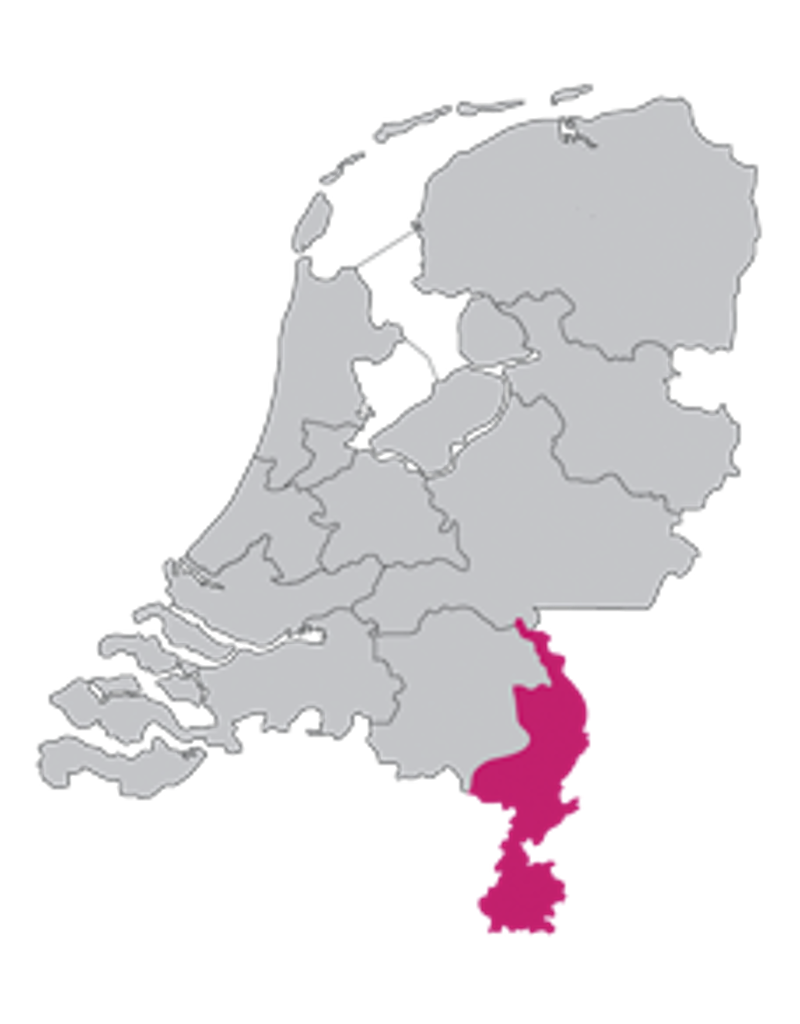 Werk- en rechtsgebied rechtbank Limburg