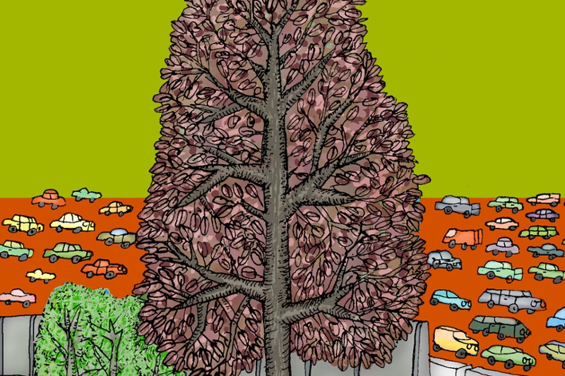 Illustratieve afbeelding